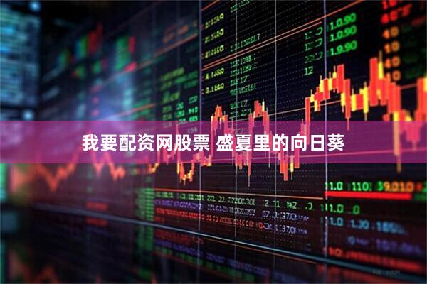 我要配资网股票 盛夏里的向日葵