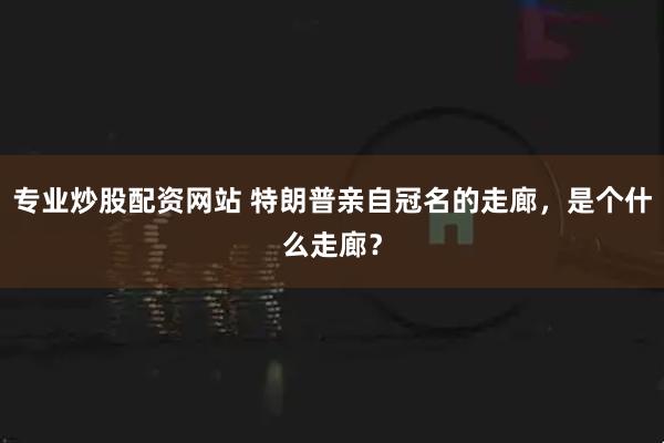 专业炒股配资网站 特朗普亲自冠名的走廊，是个什么走廊？